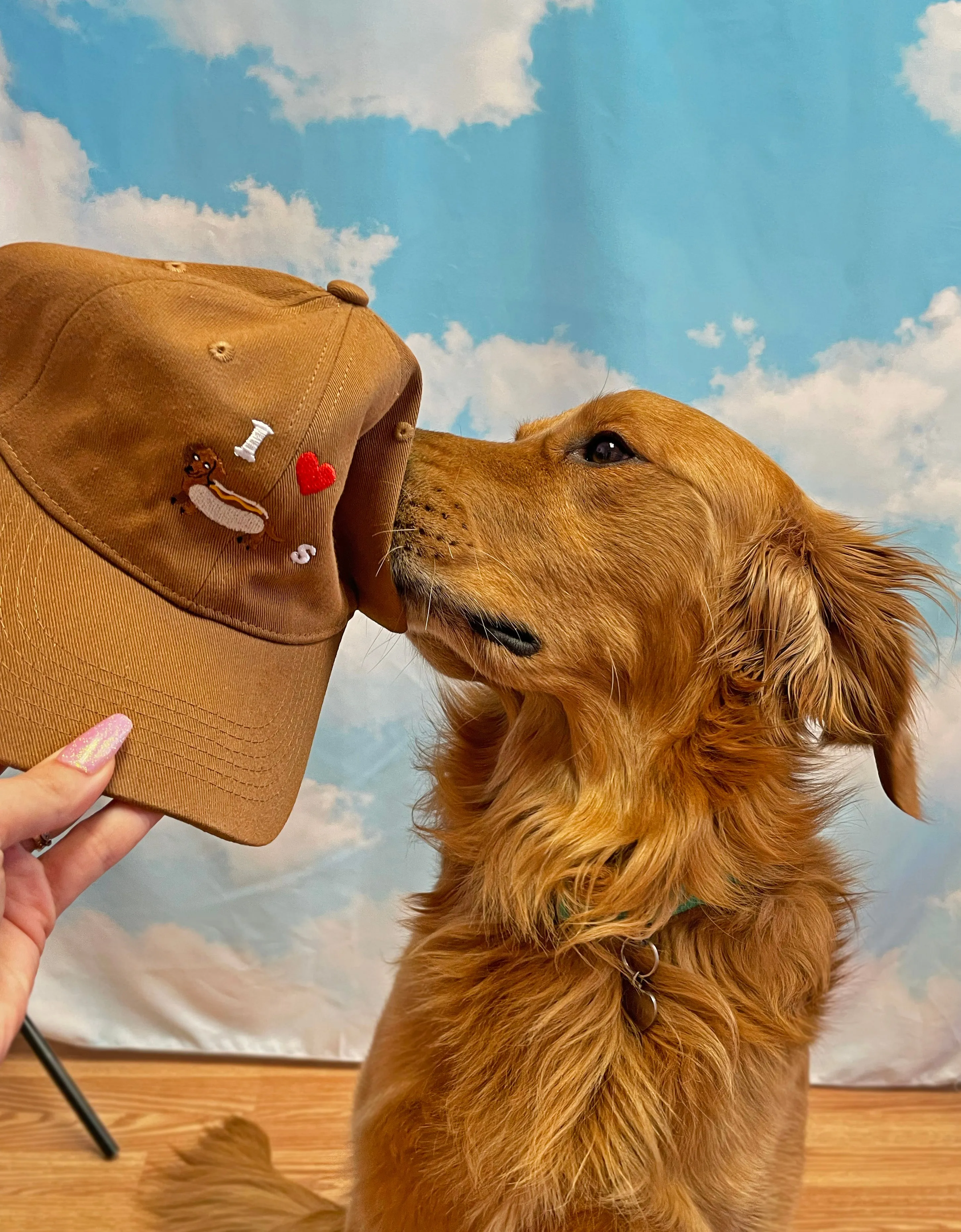 I Heart Wiener Dogs Hat