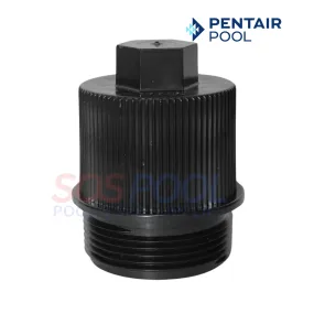 Pentair FNS Plus Filter Drain Cap with O-Ring | 190030Z